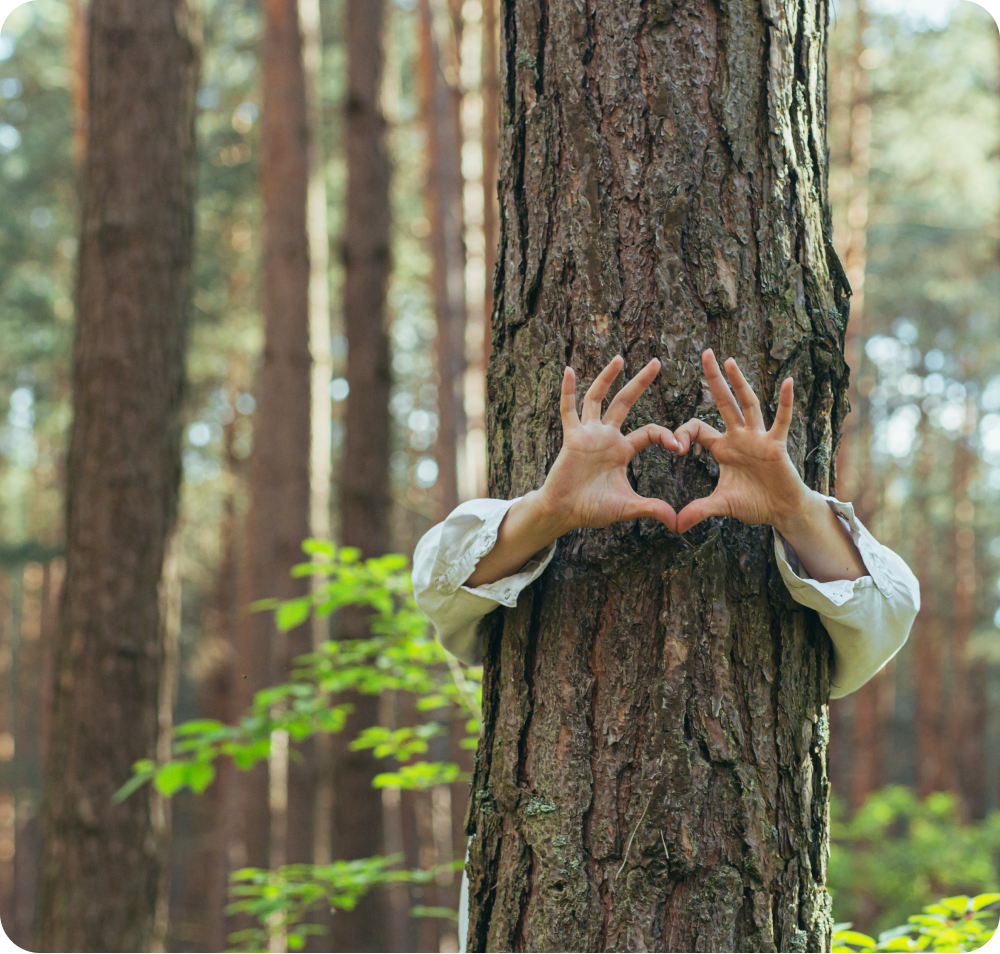 Hands hugging tree in a forest forming heart sign