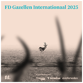 FD Gazellen International 2025 award